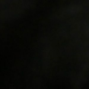 Meet your Posher, Logan